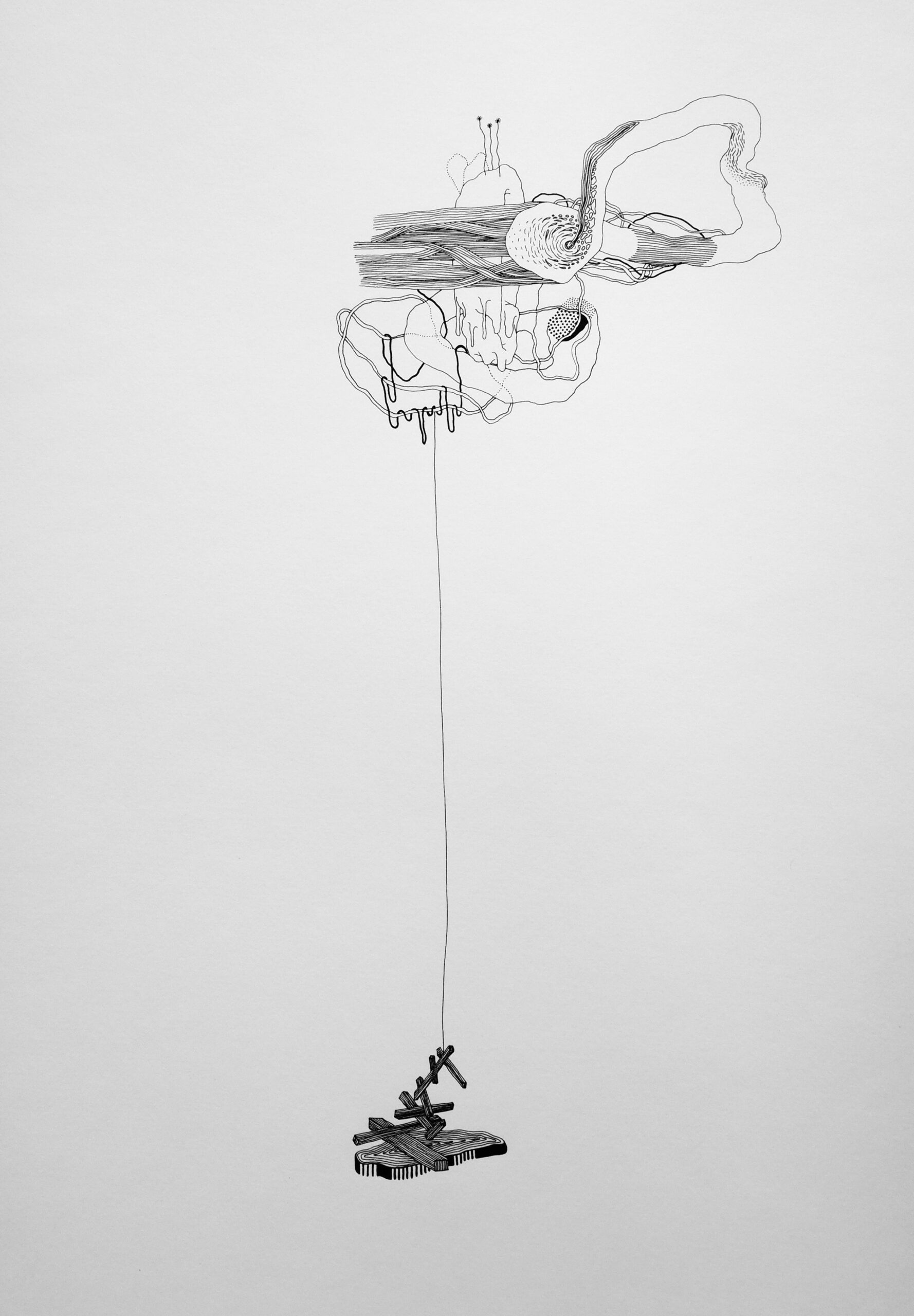 Benjamin Taillard — TENKO