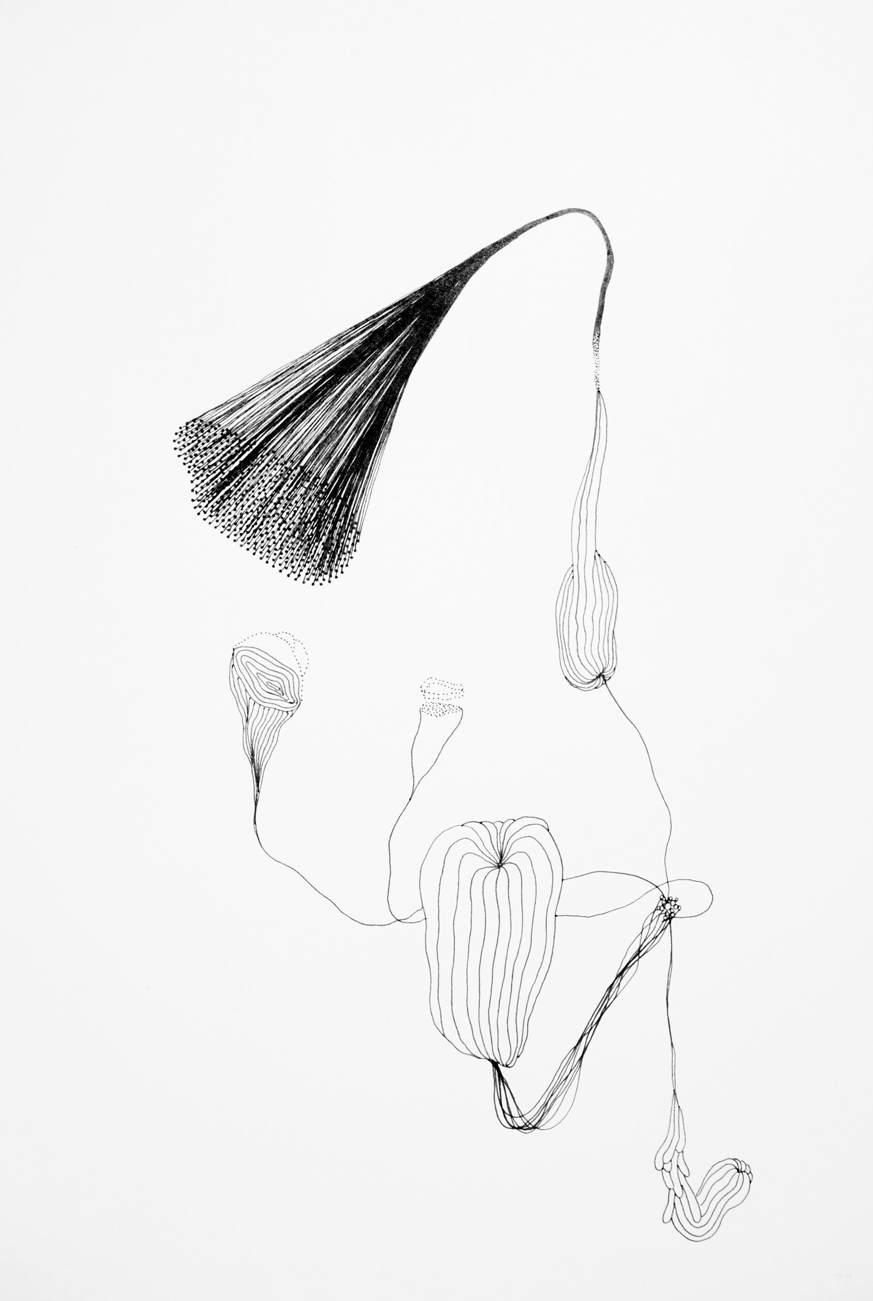 Benjamin Taillard — TENKO