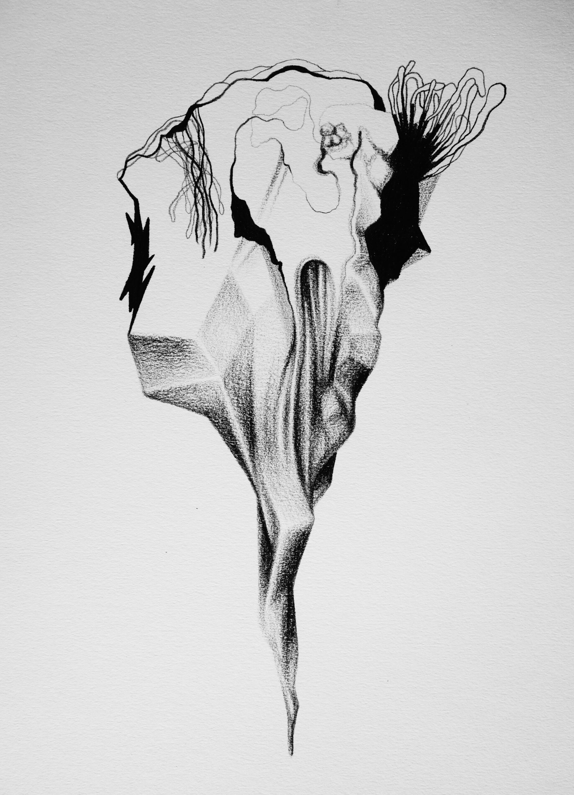 Benjamin Taillard — TENKO