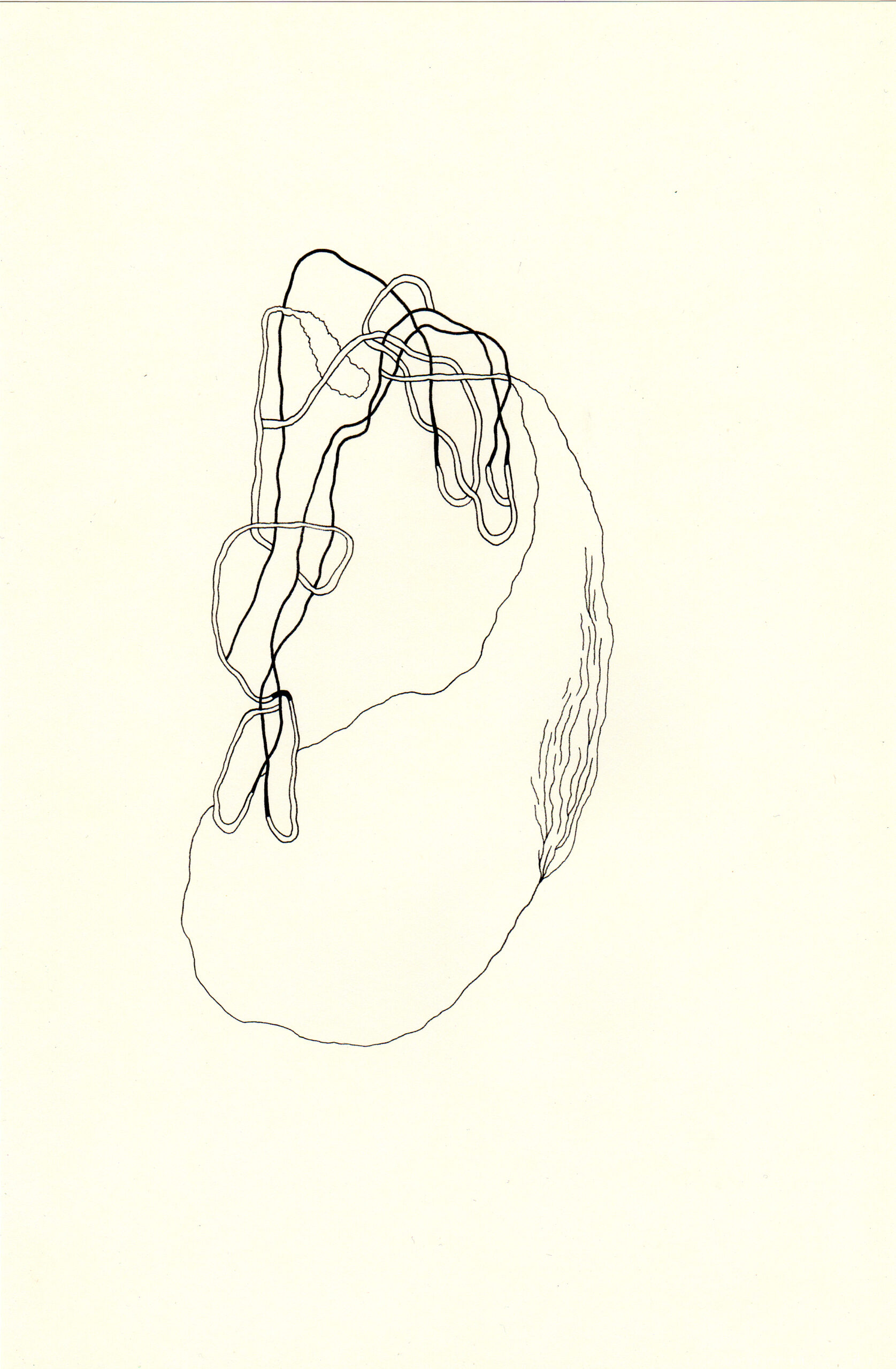 Benjamin Taillard — TENKO