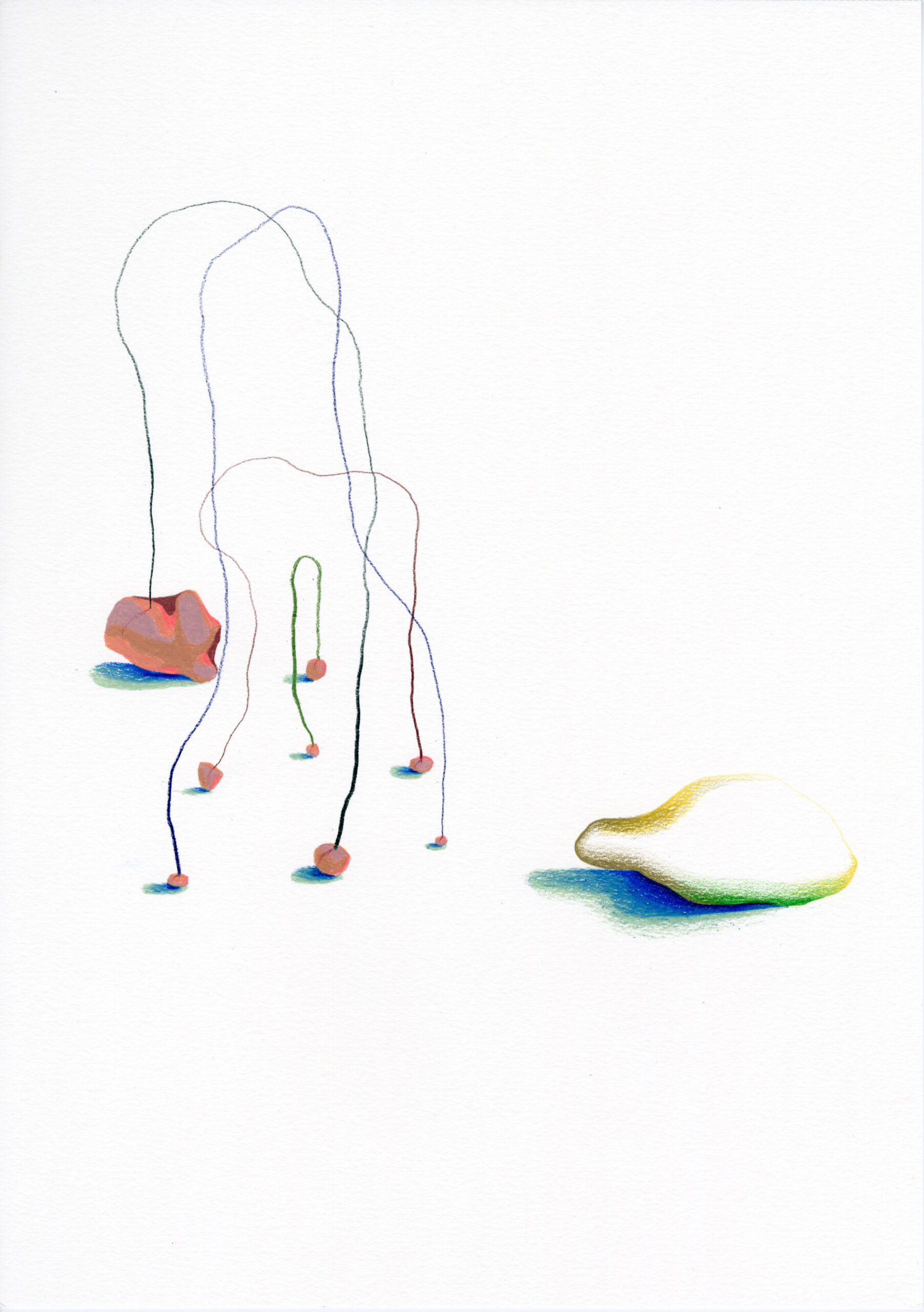 Benjamin Taillard — TENKO